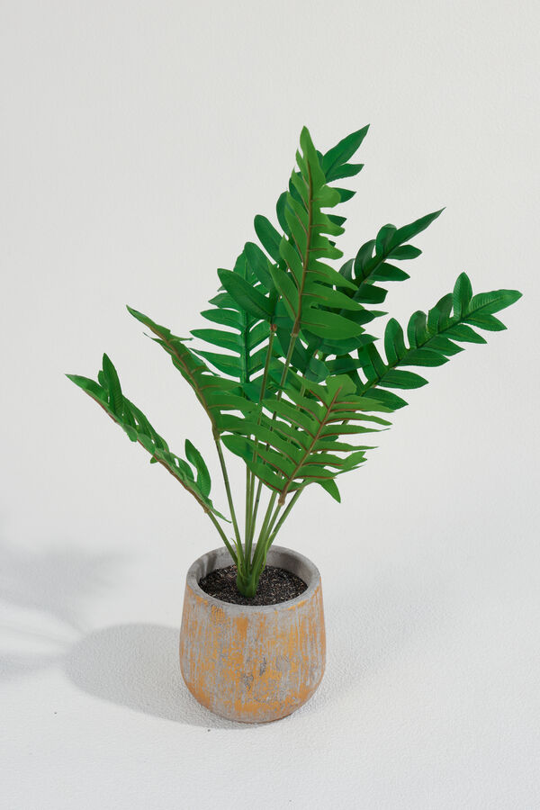 Planta Helecho 42cm COLOR UNICO image number null