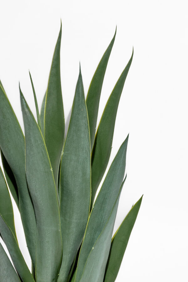 Planta Mandioca 55cm COLOR UNICO image number null