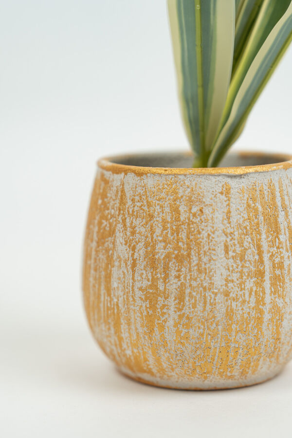 Planta Verdia Mix COLOR UNICO image number null