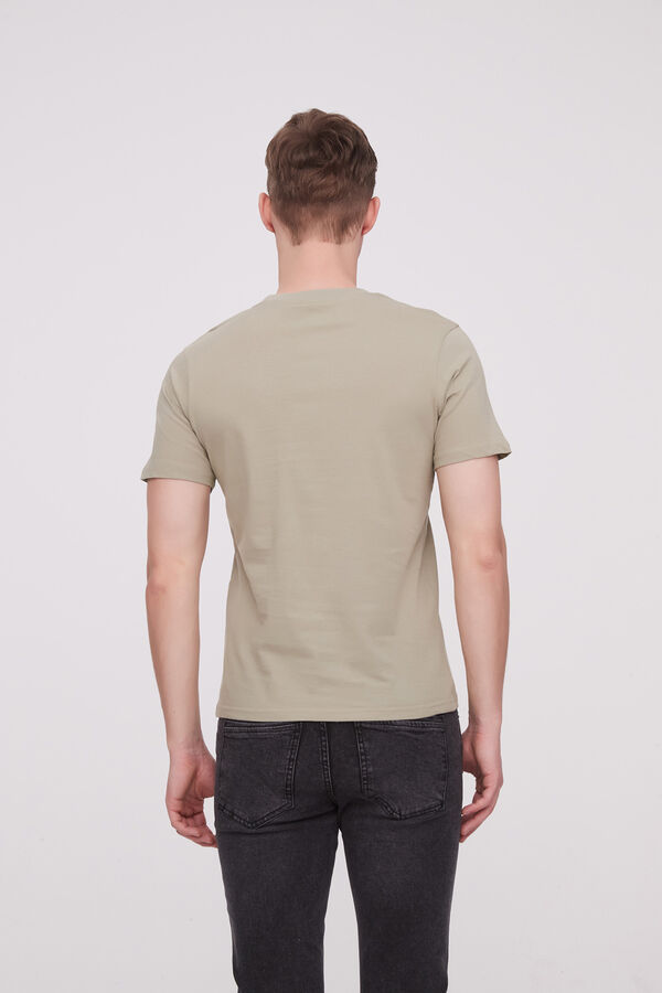REMERA ACKE VERDE PALIDO image number null