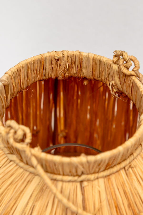 Fanal Kirara COLOR UNICO image number null